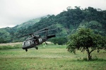 dod00279