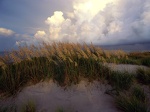 Cape Hatteras National Seashore  North Carolina 