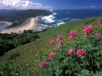 Cascade Head  Oregon   1600x1200   ID 32182