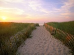 Crosby Landing  Nickerson State Park  Cape Cod  