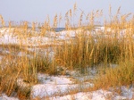 Dunes at Dawn  Destin  Florida   1600x1200   ID 