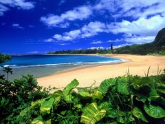 Haena Beach  Kauai  Hawaii   1600x1200   ID 4537