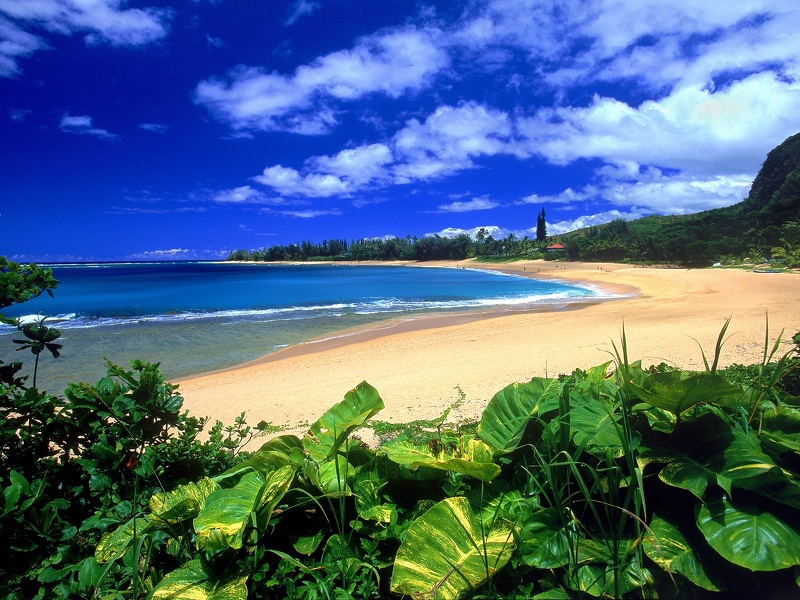 Haena_Beach__Kauai__Hawaii___1600x1200___ID_4537.jpg