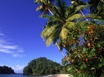 Paria Beach  Trinidad   1600x1200   ID 45445