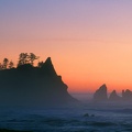Point_of_the_Arches__Sea_Stacks__Olympic_Nationa.jpg