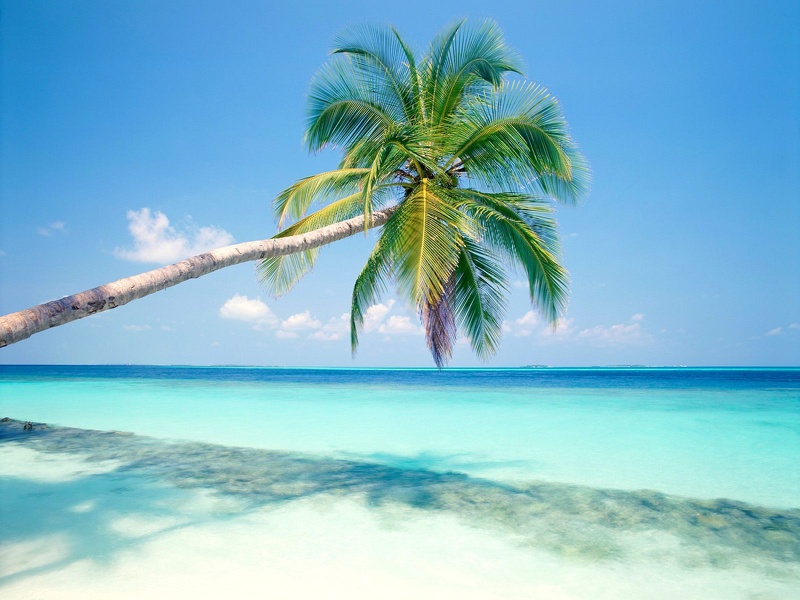Tropical_Island__Maldives___1600x1200___ID_32890.jpg