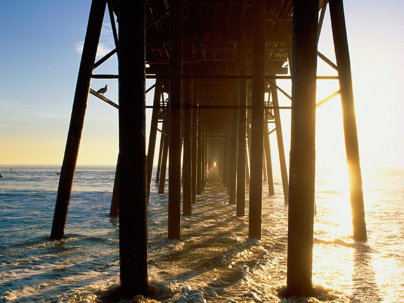 Under_the_Boardwalk__Oceanside__California___160.jpg