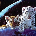 Tiger Friends Wallpaper