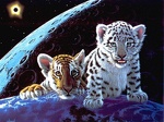 Tiger Friends Wallpaper