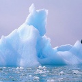 icebergs2