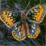 Andy Warhol 1 56