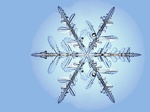 JLMsnowflake 04