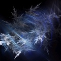digital frost