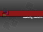 mentally unstable