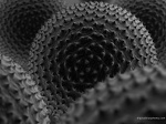 minutiae2