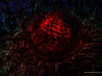 ovum