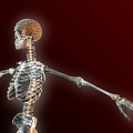 skeleton 1024