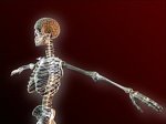 skeleton 1024