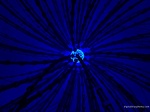 synapse