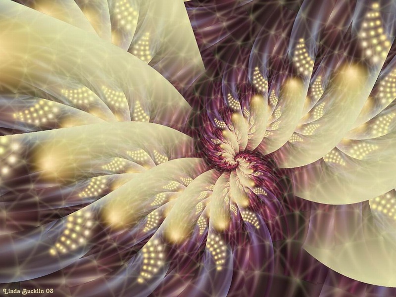 Fractals146