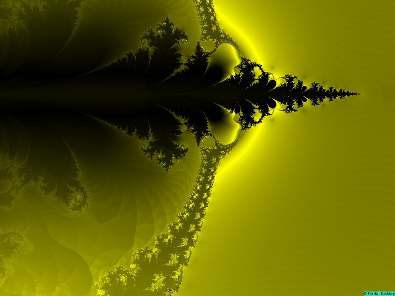 Fractals218.jpg