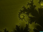 Fractals257