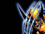 Wolverine 6