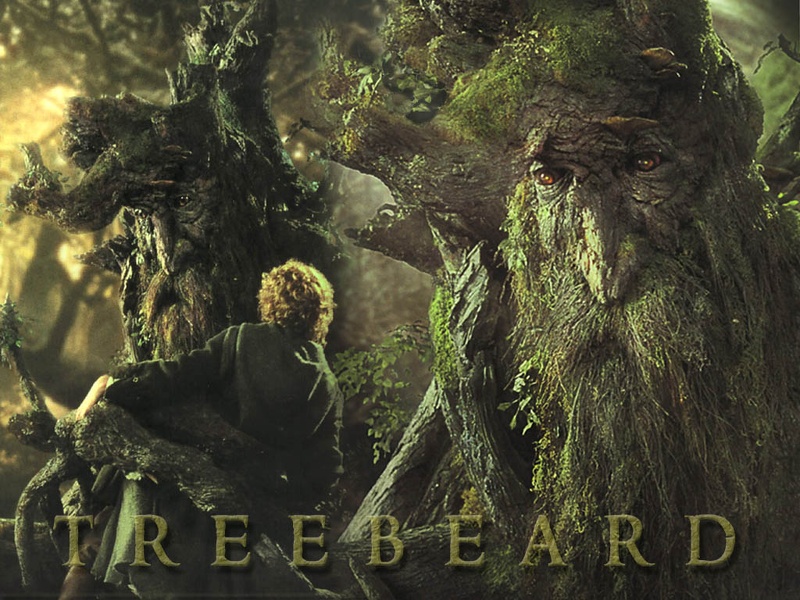 treebeard.jpg