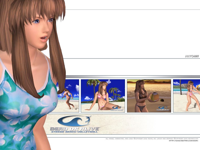 doax_hitomi_desktop.jpeg