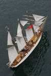 Brest 2004 voilier mer 17