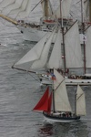 Brest 2004 voilier mer 18