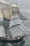 Brest 2004 voilier mer 85