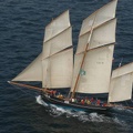 Brest 2004 voilier mer 86