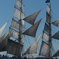 belem au large de St Malo voilier 3 mats barque  bateau bretagne france  ocean atlantique mer DSCN2170