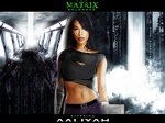Aaliyah  Matrix desktop