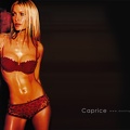 Caprice Bourret 042 desktopgirls