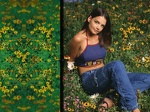 katie holmes wp 15