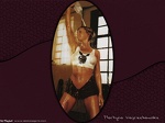 Martyna Wojciechowska 007 by Flapjack7 desktopgirls