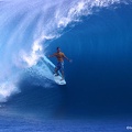 Surfing In Santa Cruz