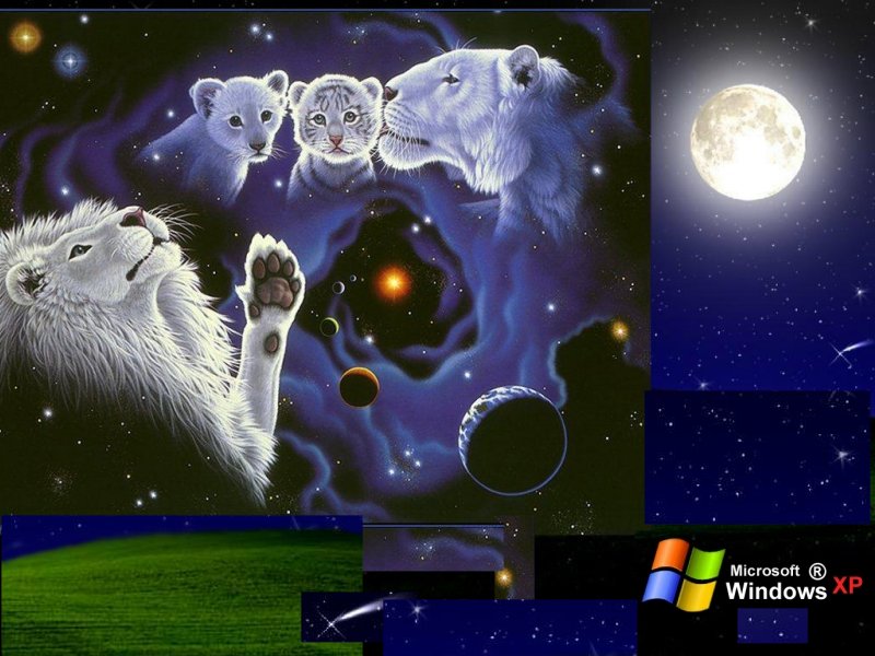 WinXP White Lions