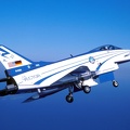 JLMNavyaircraft X31 Vector