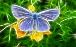 digital art 2 30