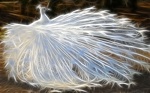 digital art 2 37