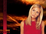 Geller6