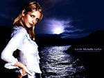 Sarah Michelle Gellar08