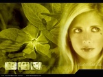 Sarah Michelle Gellar 015 desktopgirls